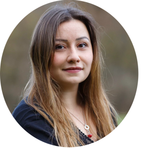 Solution Area Sales – Network & Connectivity (m/w/d)