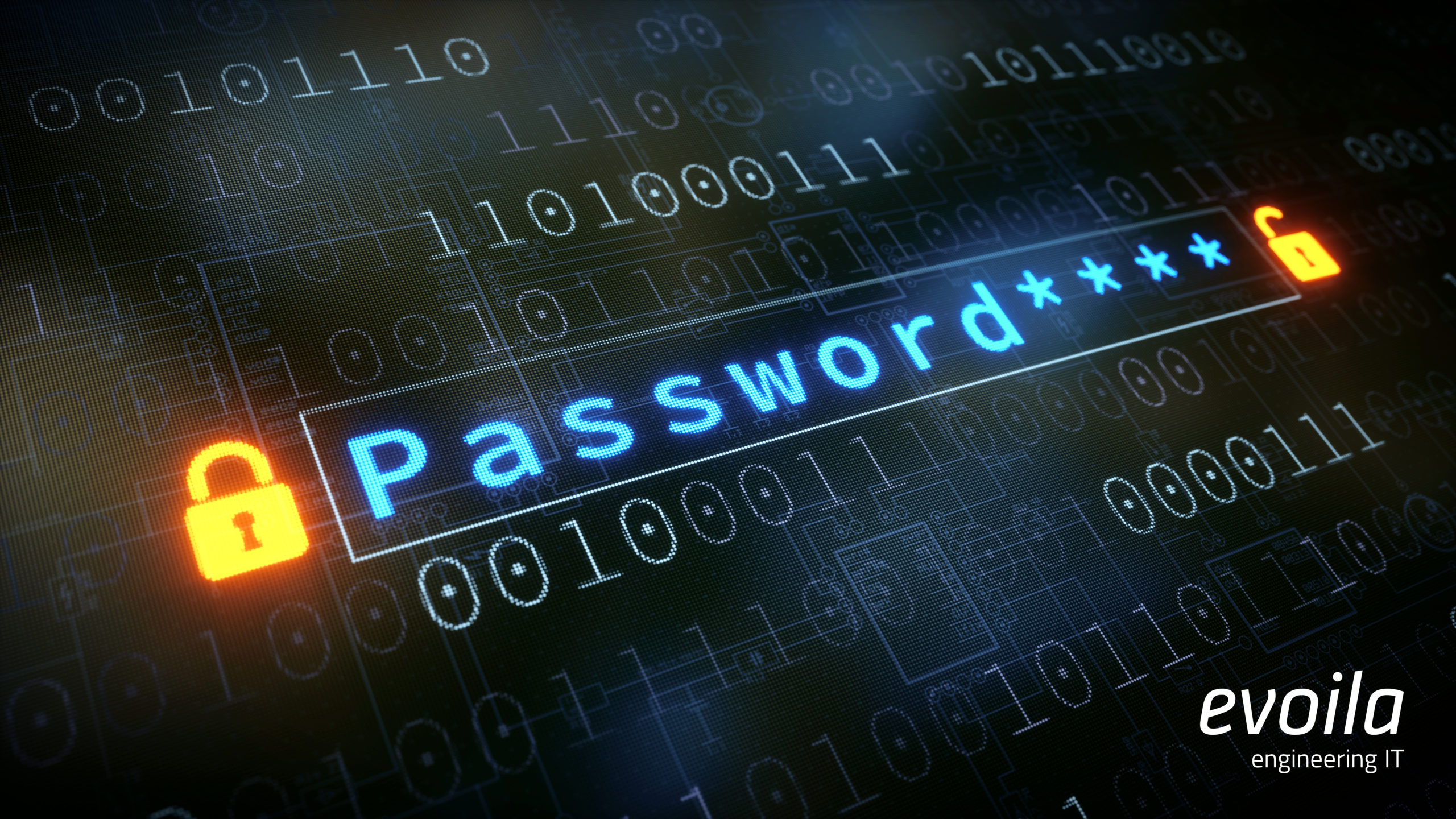 Password Input Field With Padlock