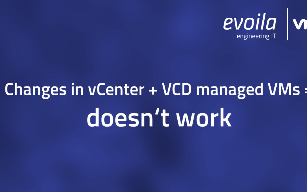 Wie werden MAC-Adressen im VMware vCloud Director verwendet?