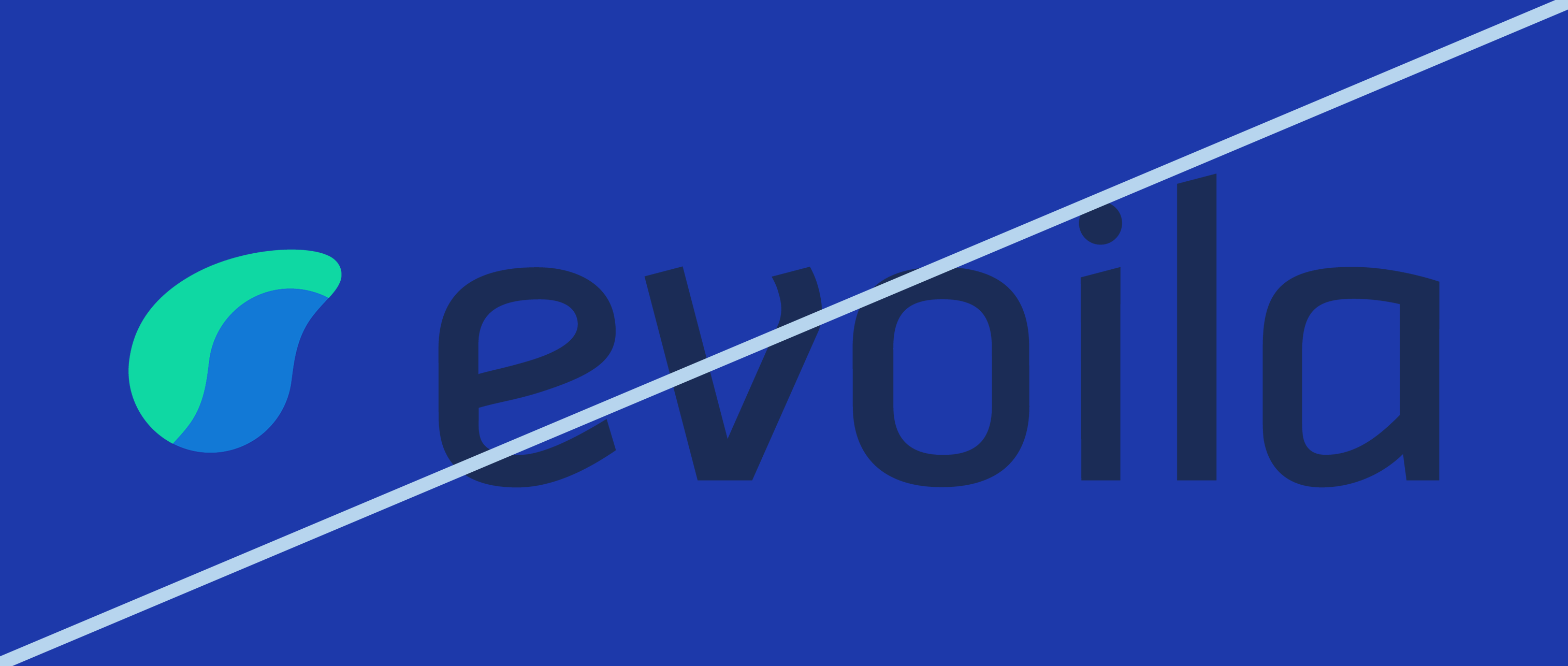 Logo evoila_Logo dunkel farbig abheben