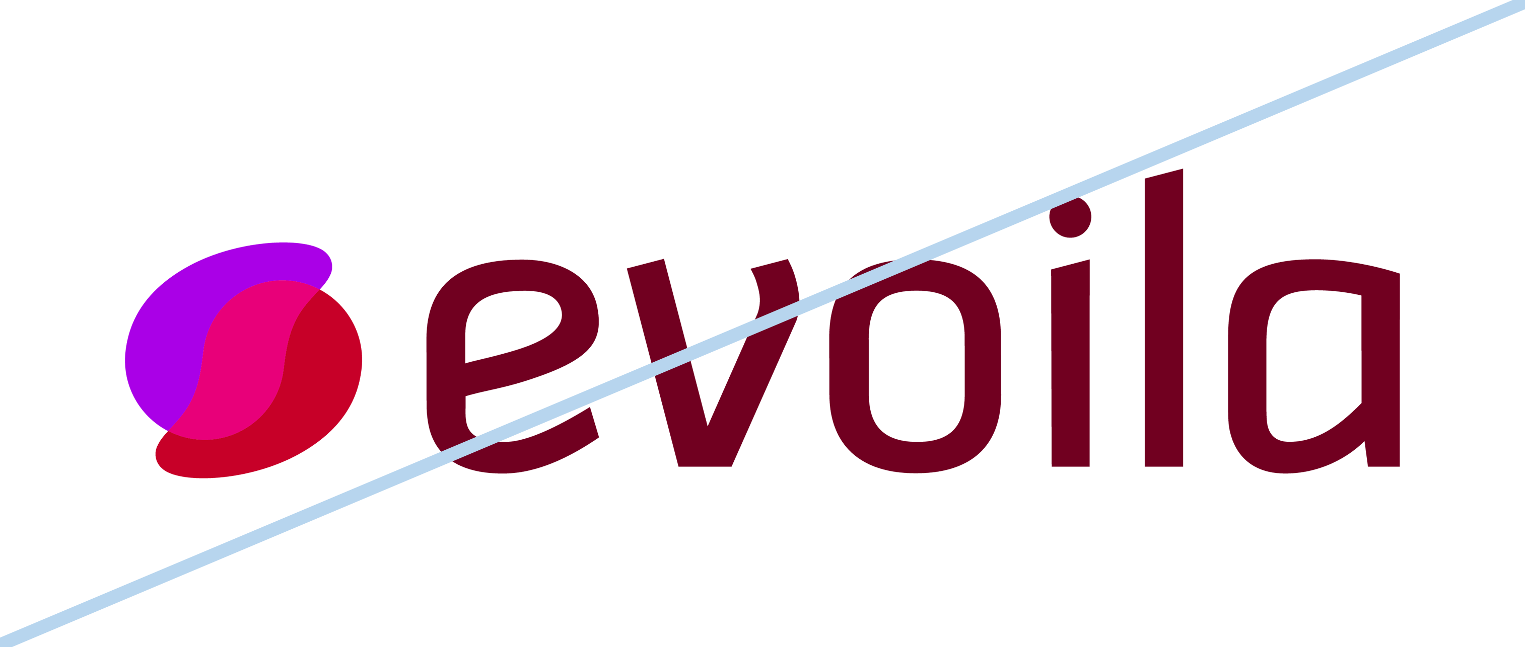 Logo evoila_Logo dunkel umfärben
