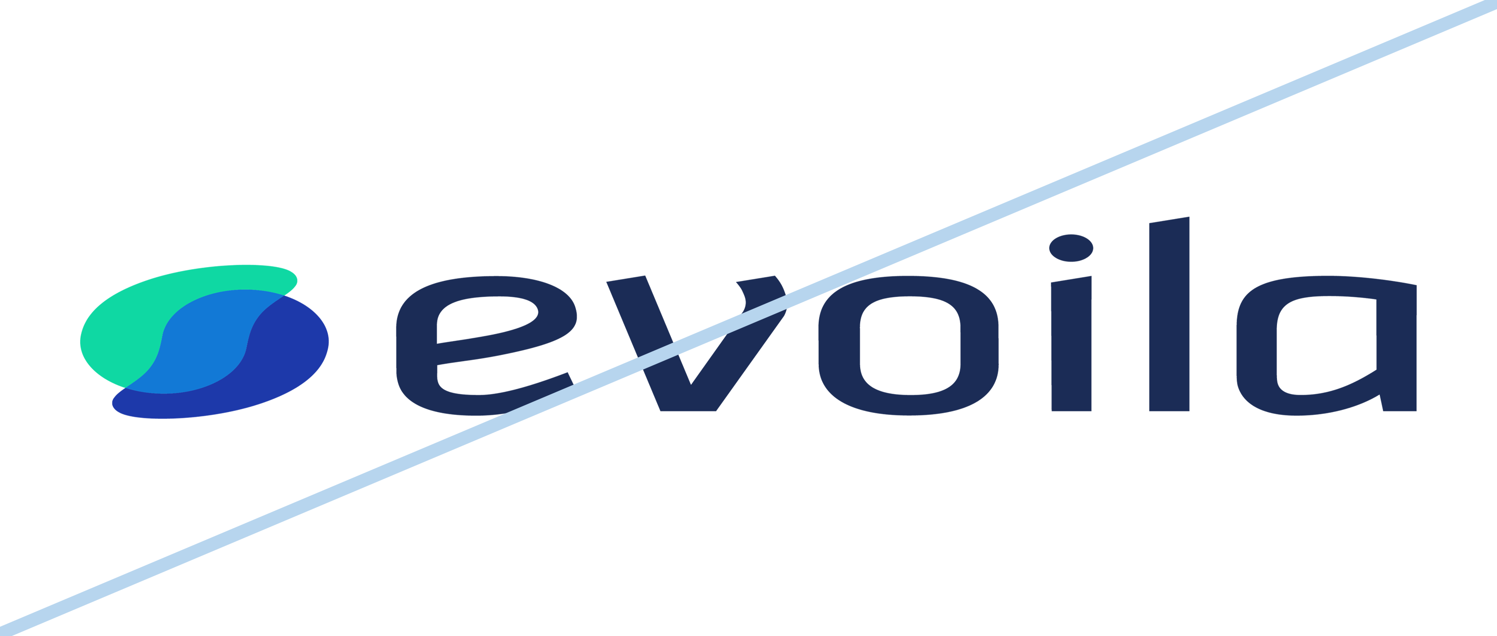Logo evoila_Logo dunkel verzerren